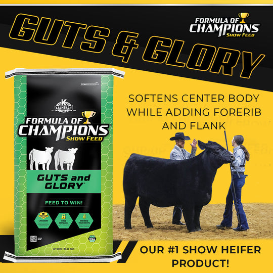 Guts & Glory®