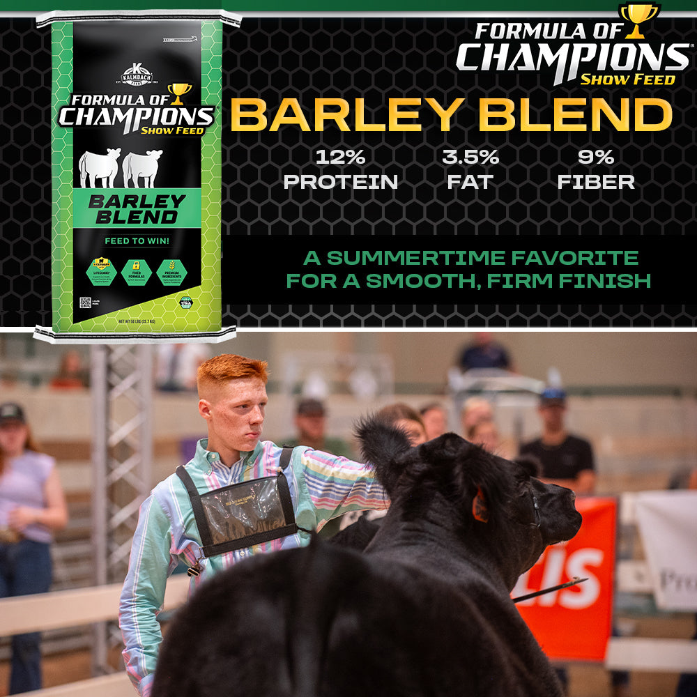 Barley Blend Show Cattle Feed