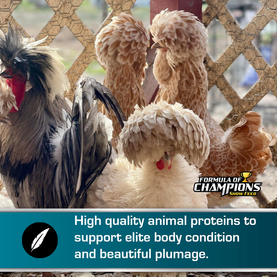 Fancy & Feathered® Feed for Show Birds