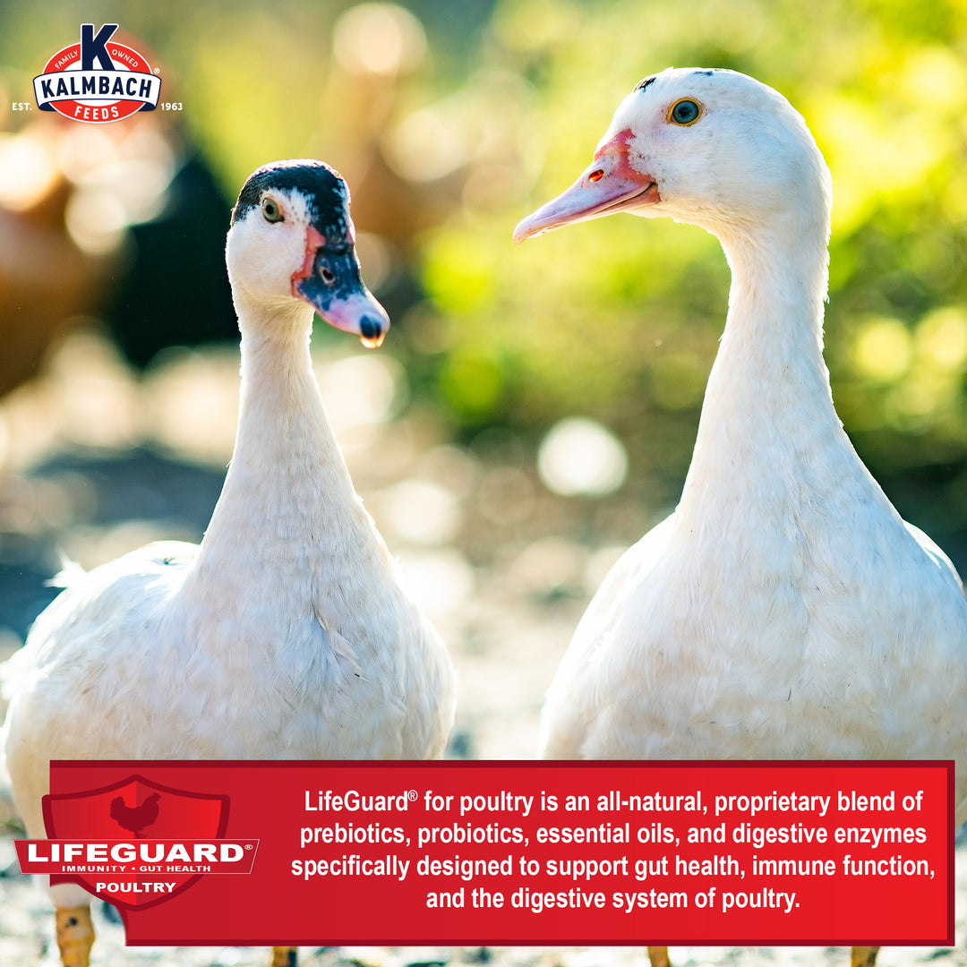 20% Flock Maker® (Crumble)