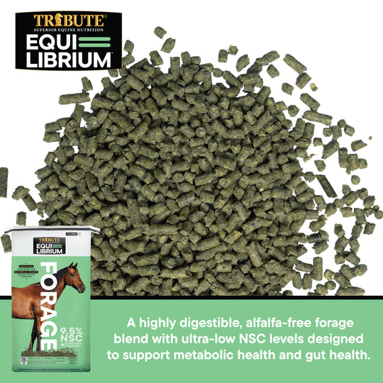 Equi-Librium™ Forage