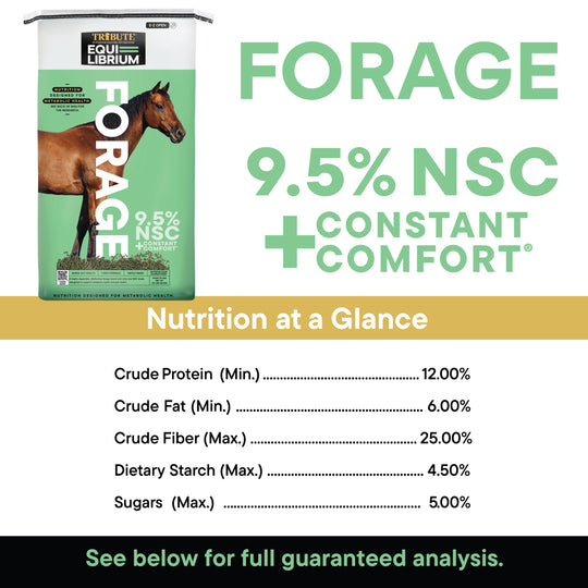 Equi-Librium™ Forage