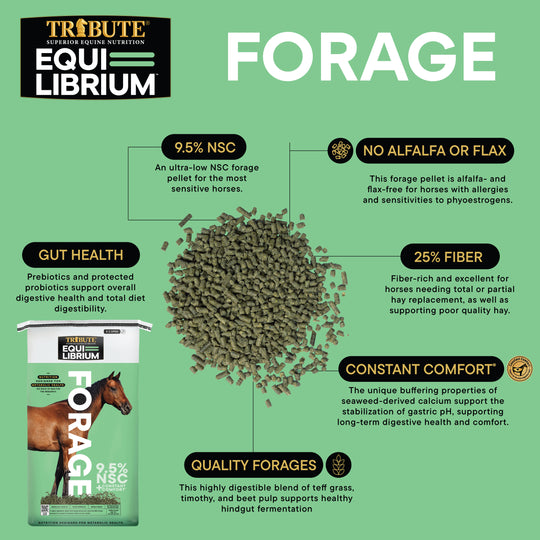 Equi-Librium™ Forage
