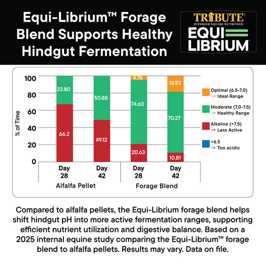 Equi-Librium™ Forage