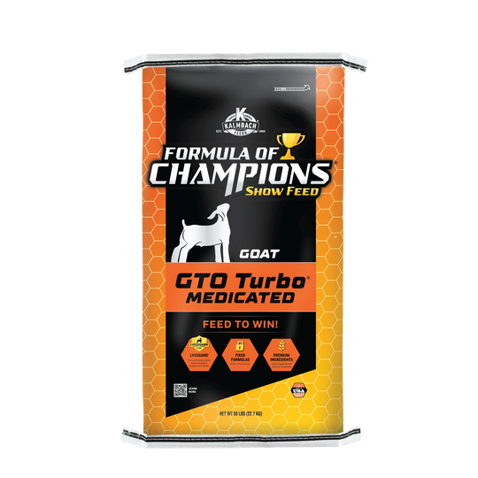 GTO Turbo®
