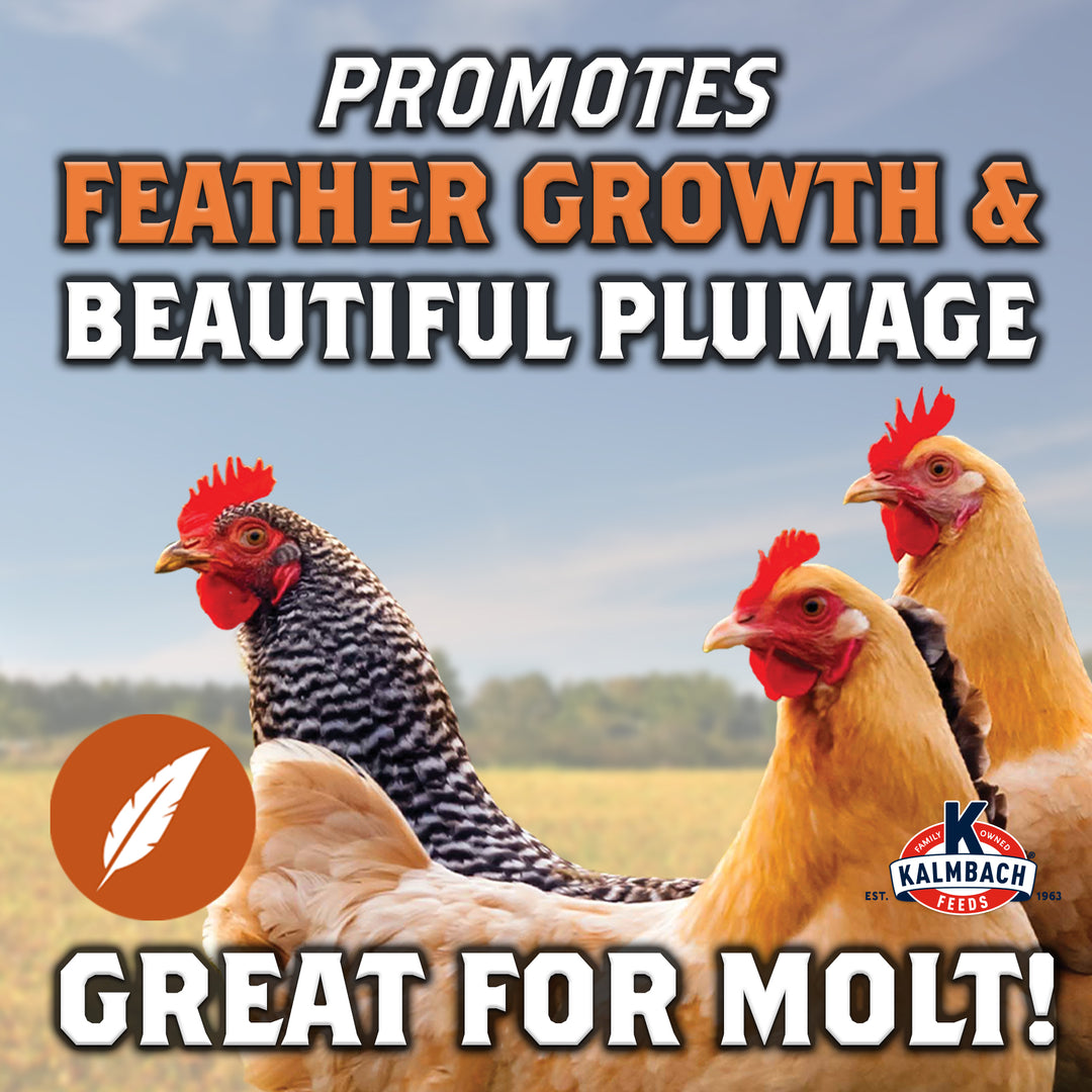 Full Plume® Feathering Feed