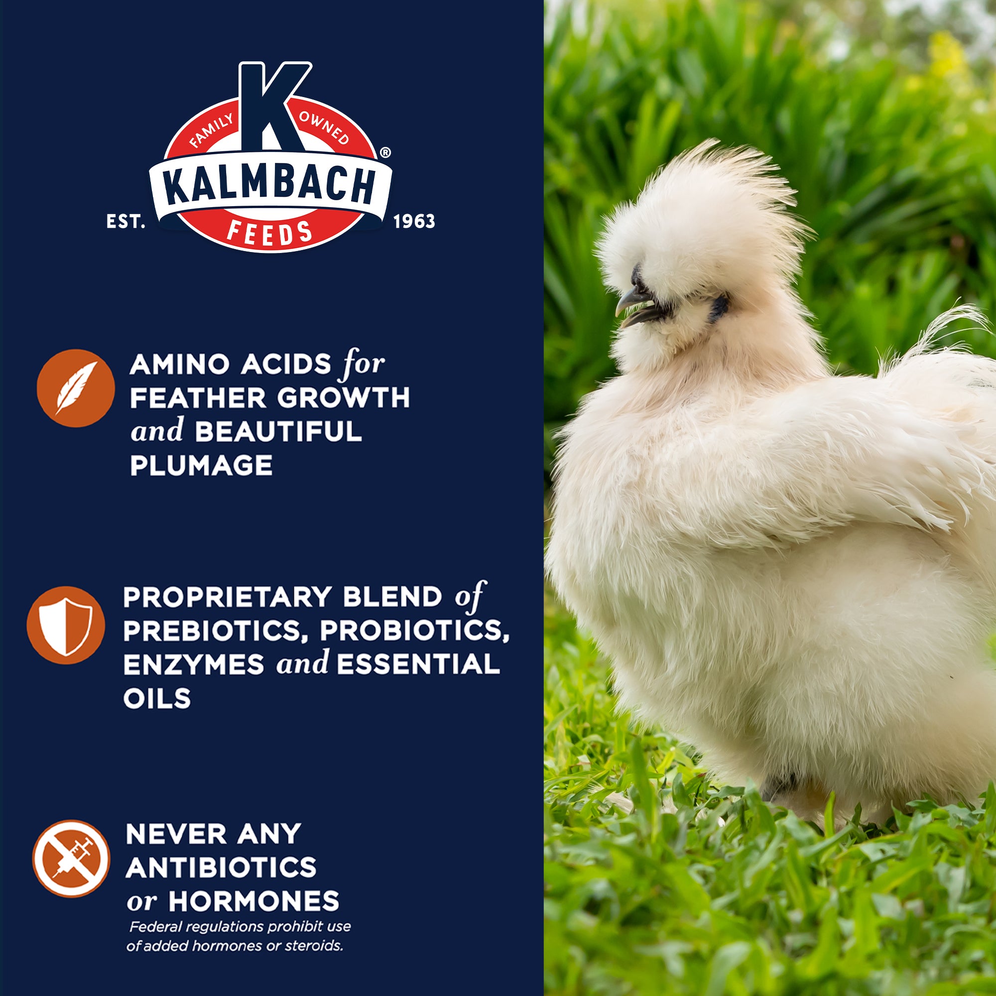 Full Plume® Feathering Feed – Kalmbach Feeds®