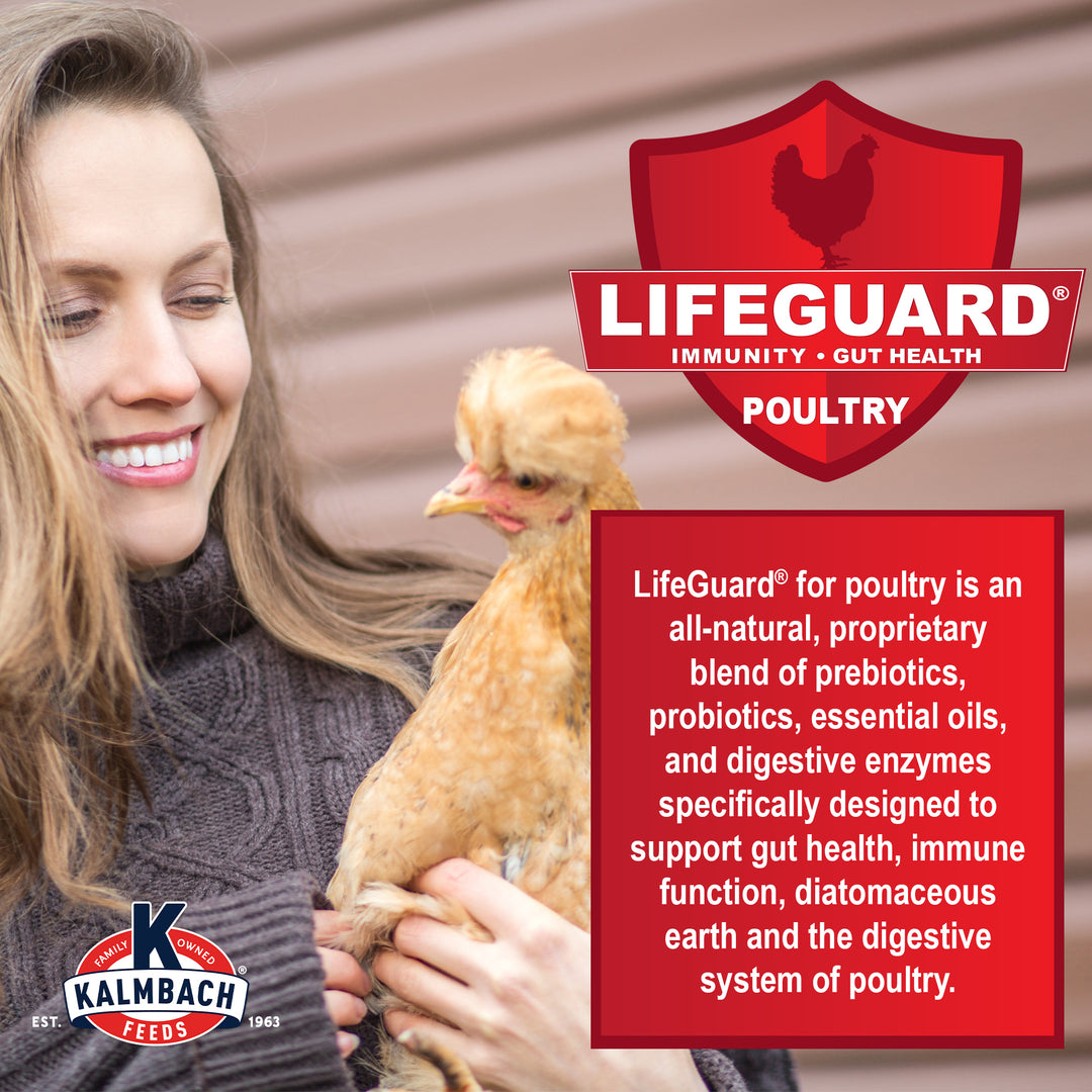 Full Plume® Feathering Feed