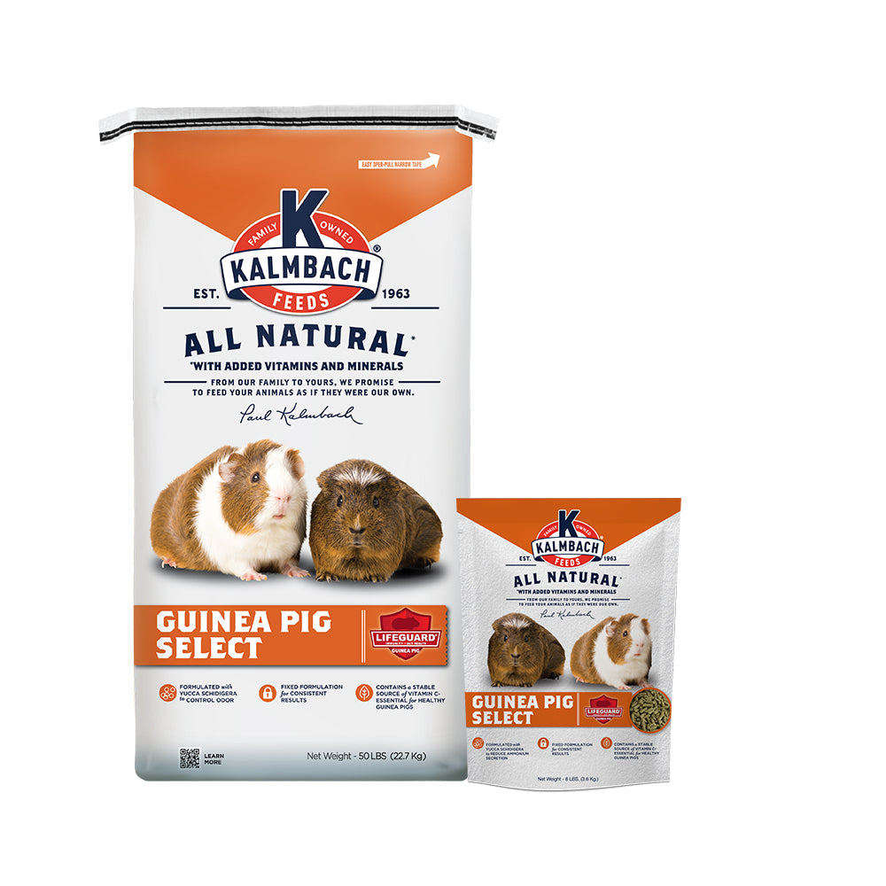 guinea pig select feed bag