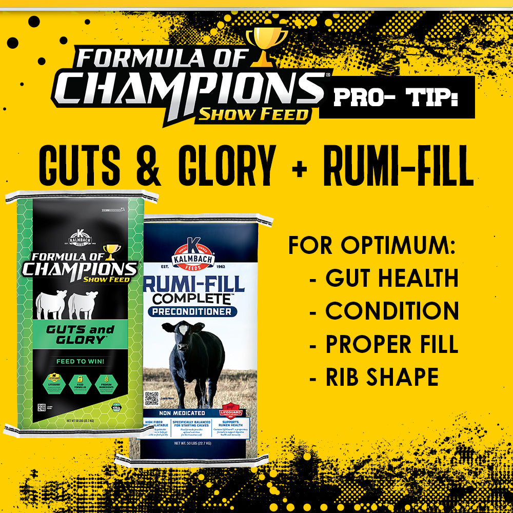 Guts & Glory®