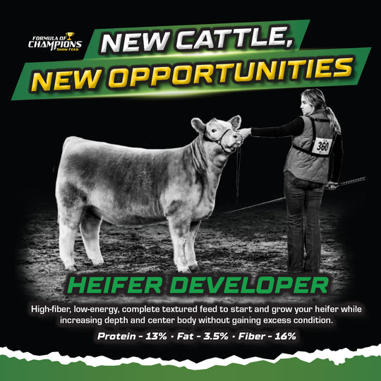 Heifer Developer