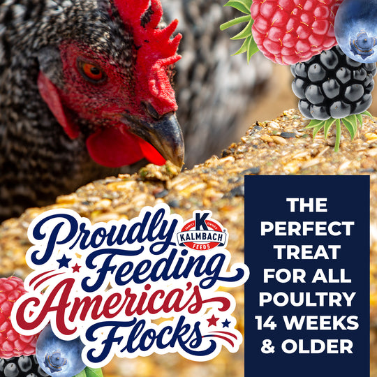 Summer Berry Henhouse Reserve® Block