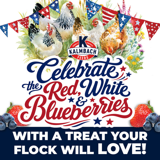 Summer Berry Henhouse Reserve® Block