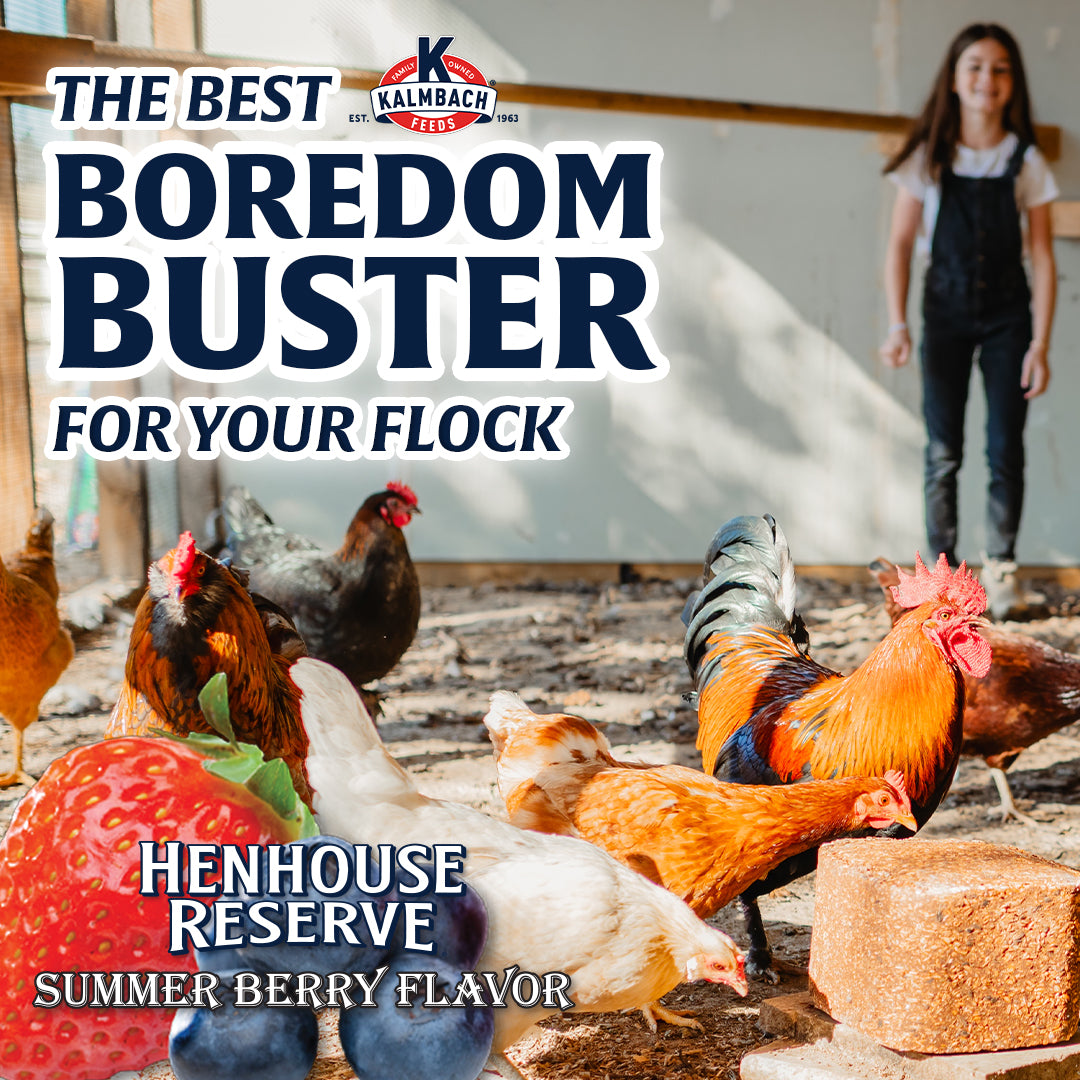 Summer Berry Henhouse Reserve® Poultry Block – Kalmbach Feeds®