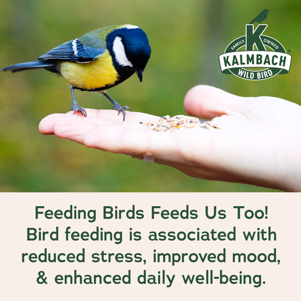 Heritage Seeds Black Oil Sunflower Seeds – Kalmbach Feeds®