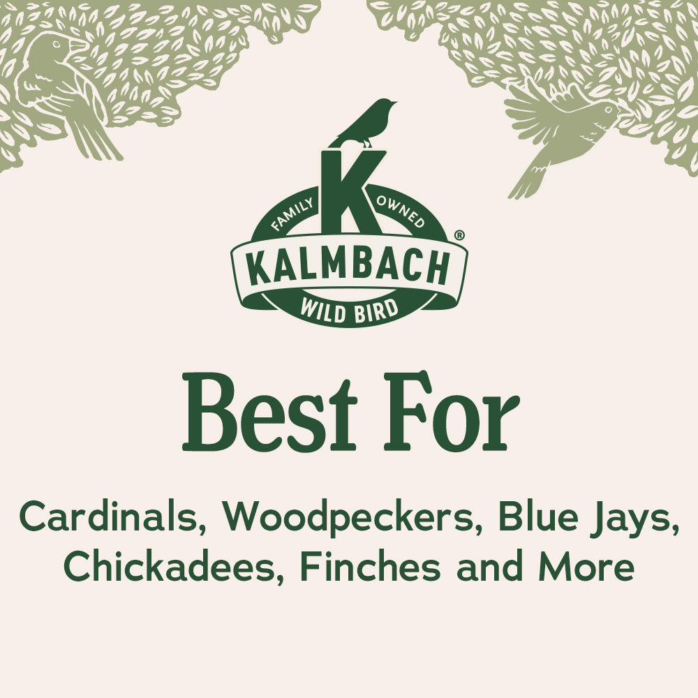 Heritage Seeds Black Oil Sunflower Seeds