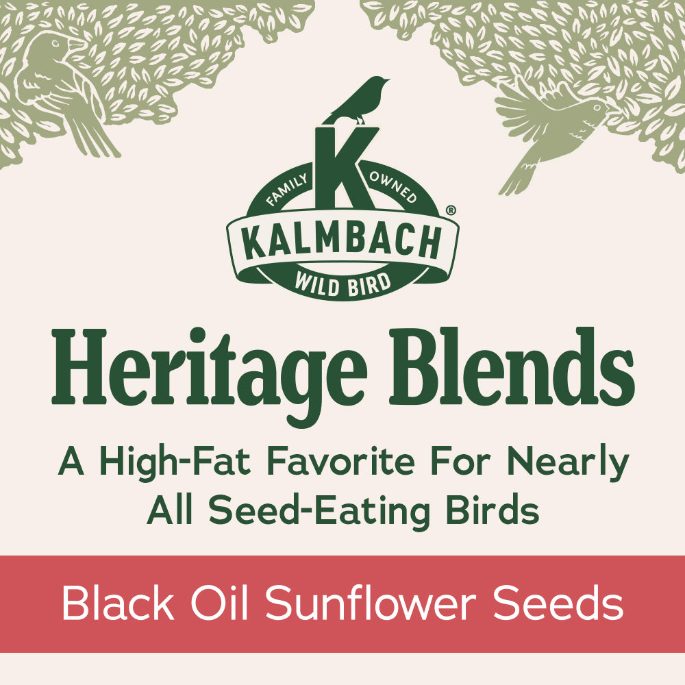 Heritage Seeds Black Oil Sunflower Seeds