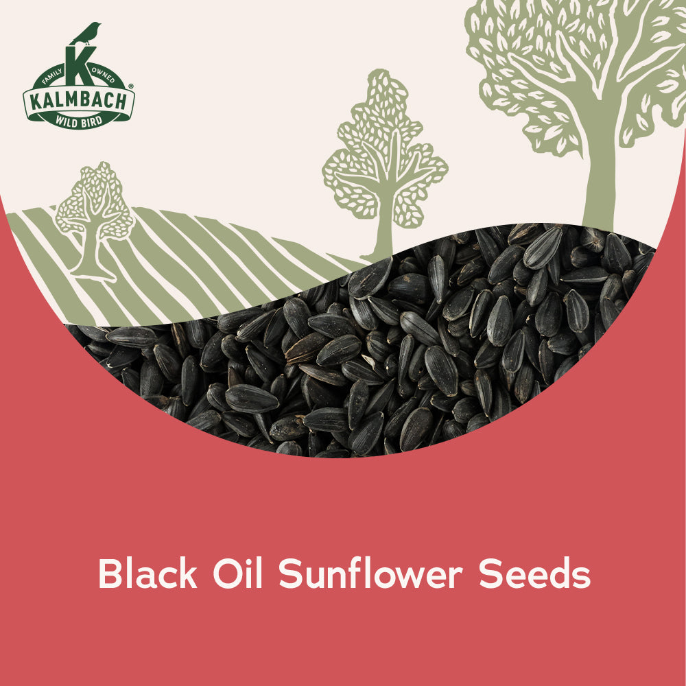 Heritage Seeds Black Oil Sunflower Seeds – Kalmbach Feeds®