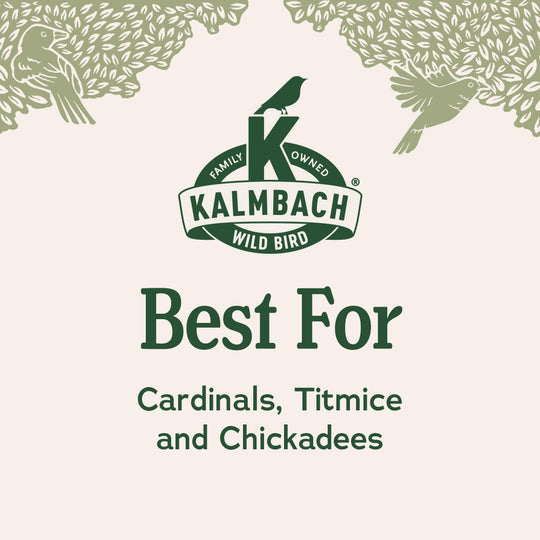 Heritage Seeds Safflower Seeds