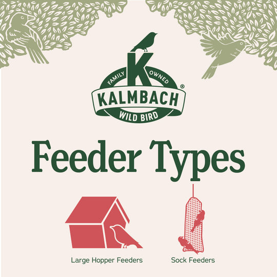 Heritage Seeds Safflower Seeds