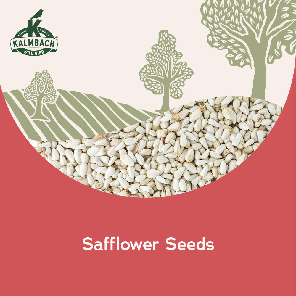Heritage Seeds Safflower Seeds