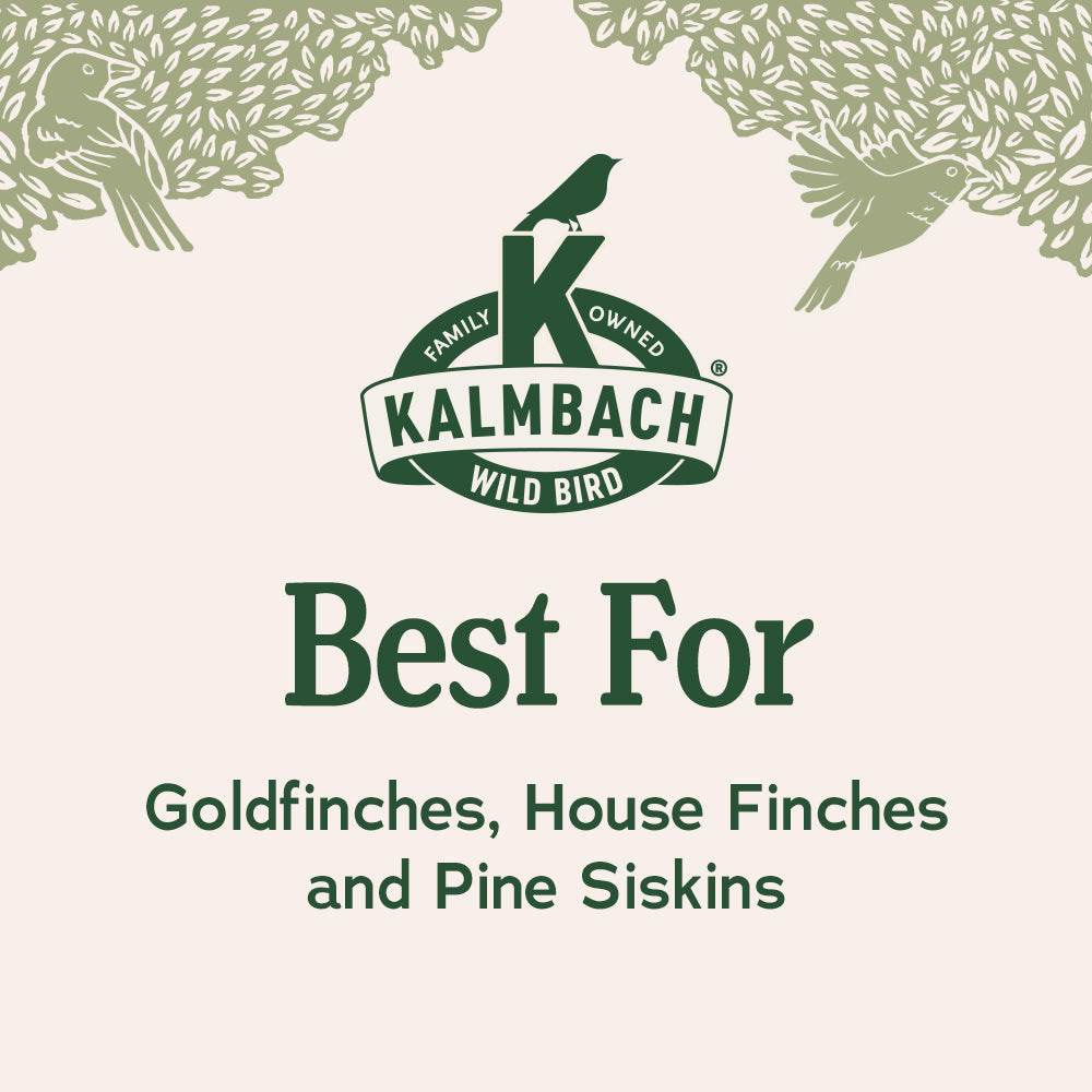 Heritage Seeds Nyjer® Seed