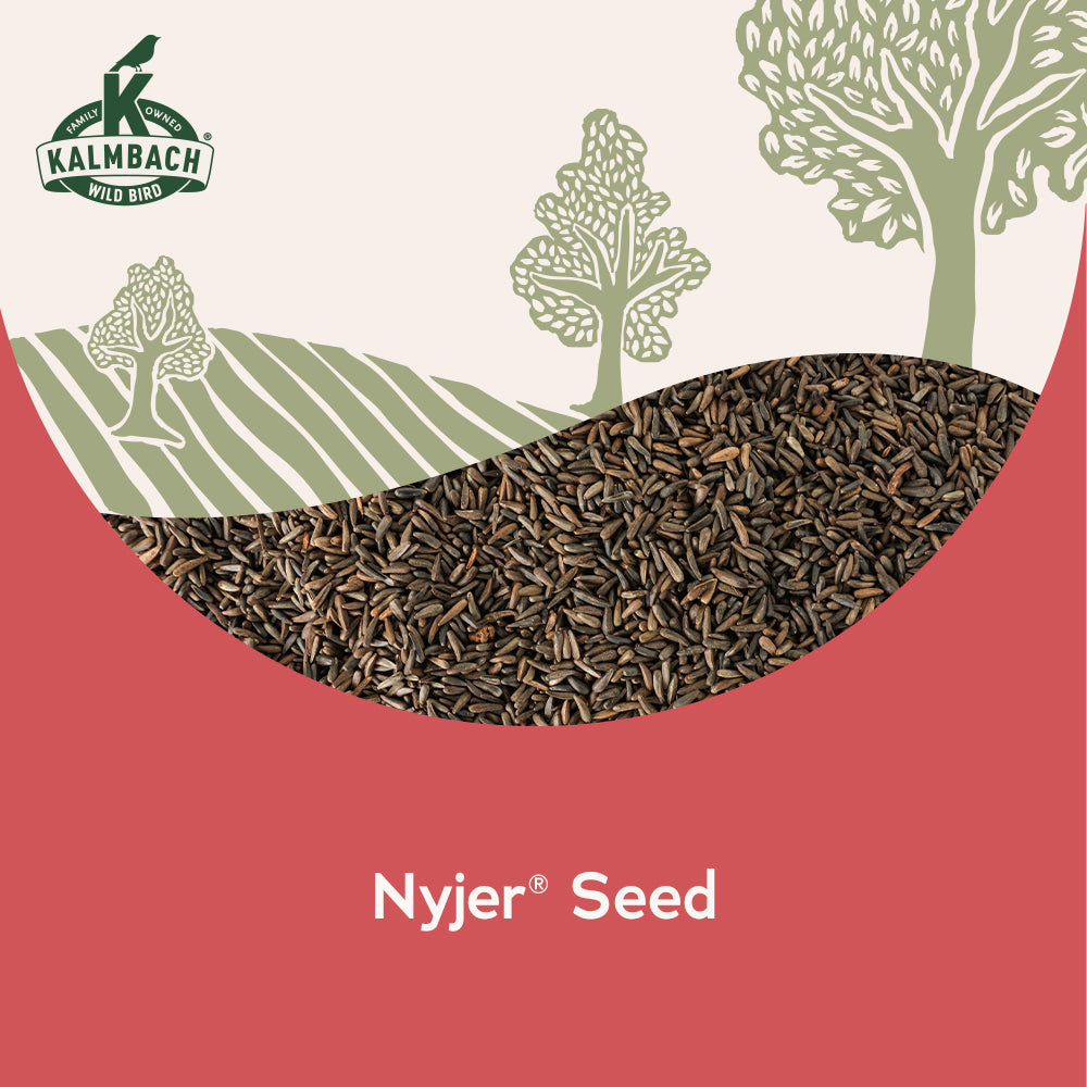 Heritage Seeds Nyjer® Seed – Kalmbach Feeds®