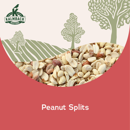 Heritage Seeds Peanut Splits