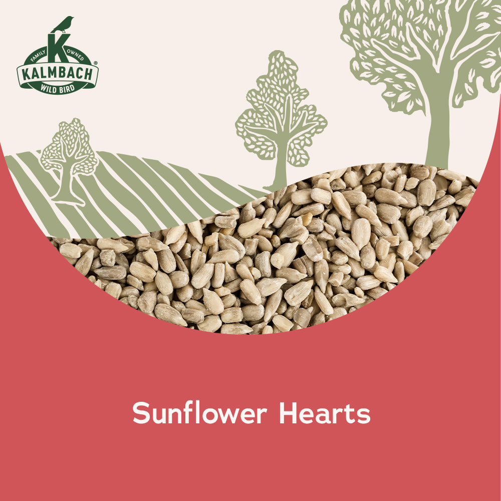 Heritage Seeds Sunflower Hearts