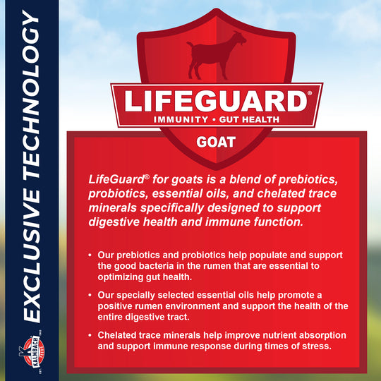 Lifeguard Goat health description and logo