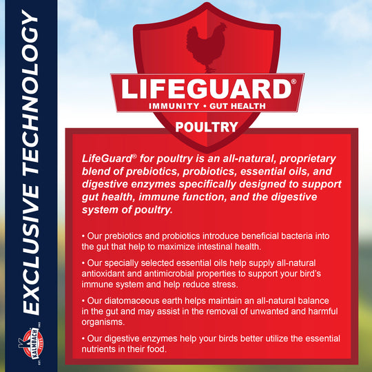 Henhouse Reserve Love Bug™ for Chickens and Poultry