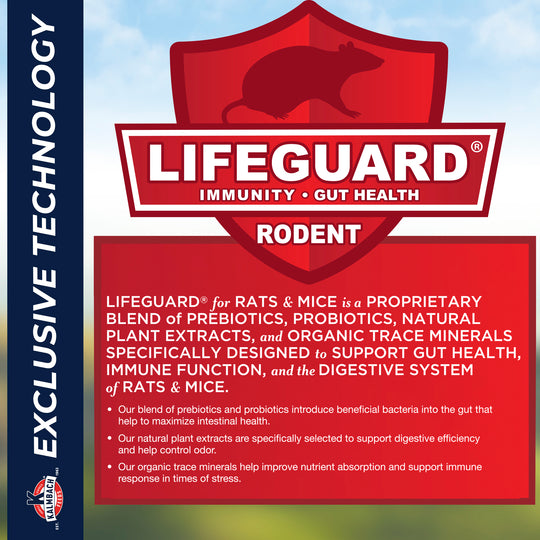 Kalmbach 18% Rodent Diet