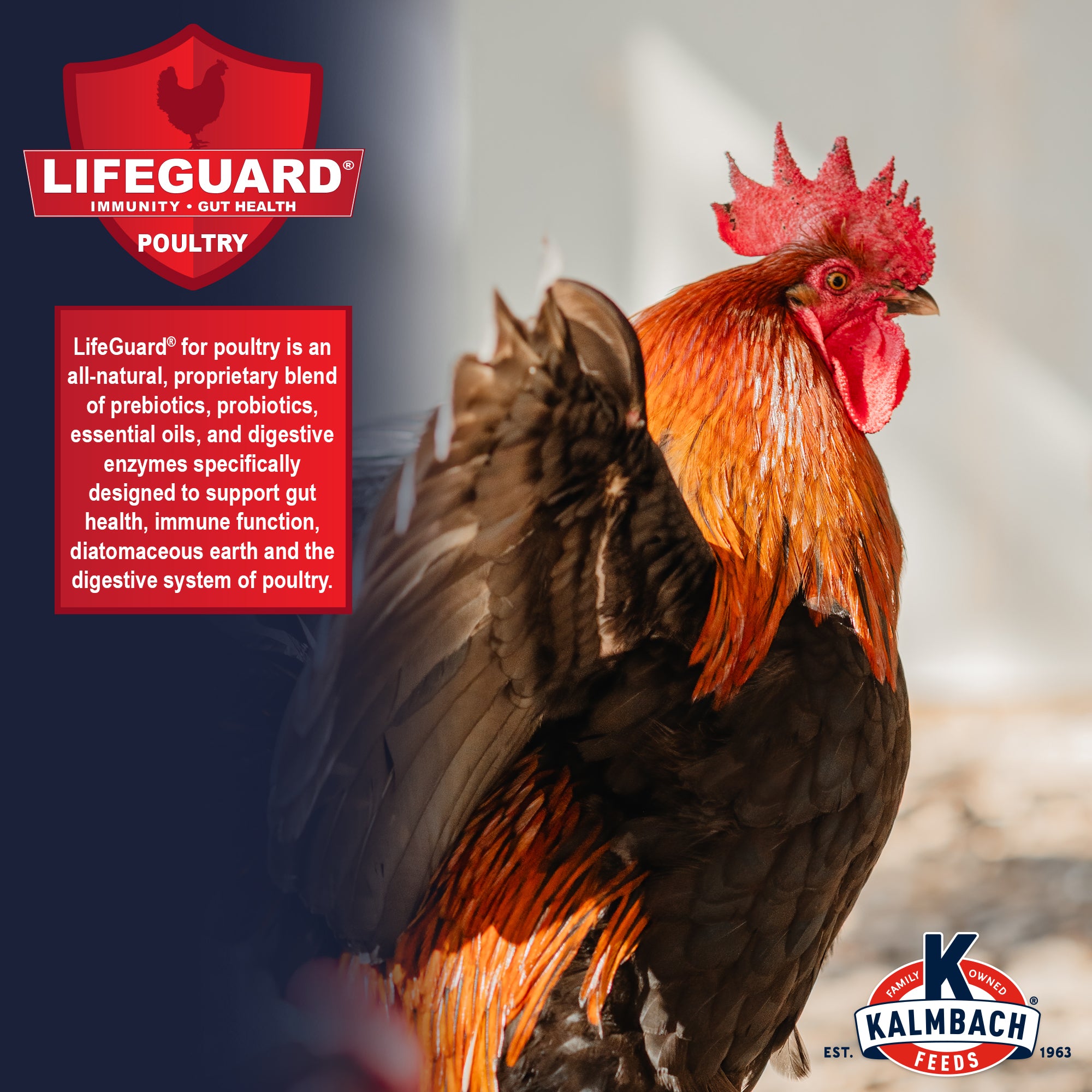 Game Time Elite 18% Gamecock Conditioner – Kalmbach Feeds®