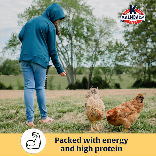 Henhouse Reserve Love Bug­™ Mealworm Treats