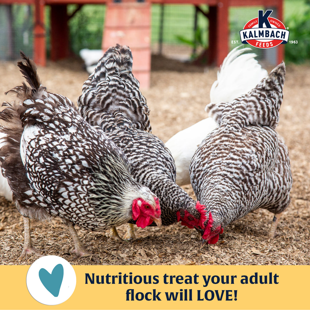 Henhouse Reserve Love Bug­™ Mealworm Treats