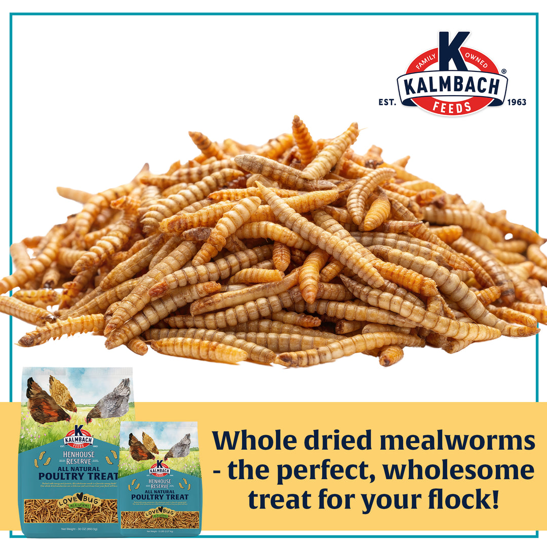Henhouse Reserve Love Bug­™ Mealworm Treats