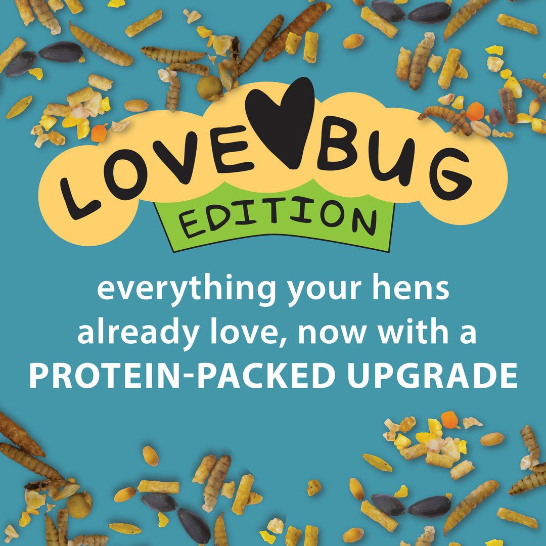 Henhouse Reserve Love Bug™ for Chickens and Poultry