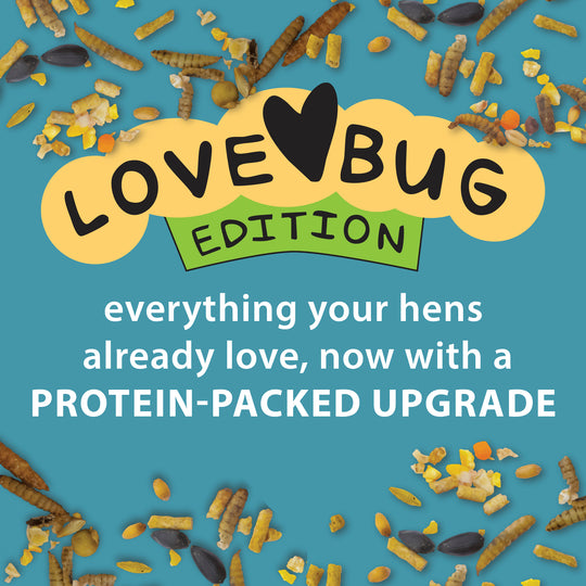 Henhouse Reserve Love Bug™ for Chickens and Poultry
