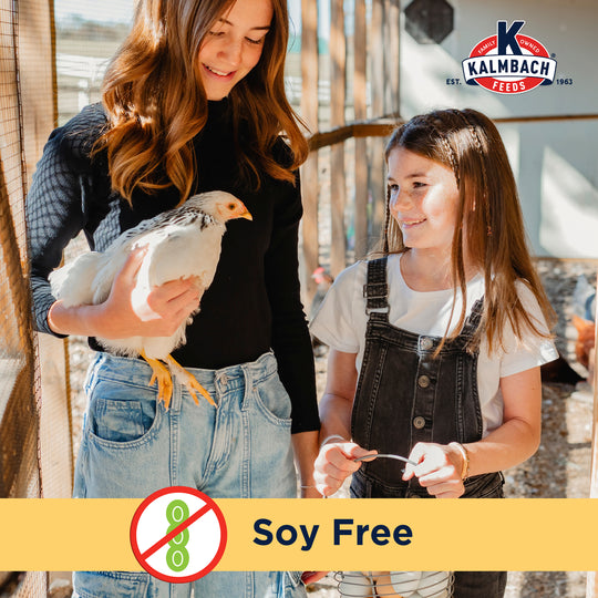 Henhouse Reserve Love Bug™ for Chickens and Poultry