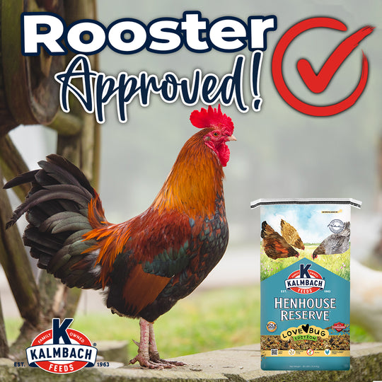 Henhouse Reserve Love Bug™ for Chickens and Poultry