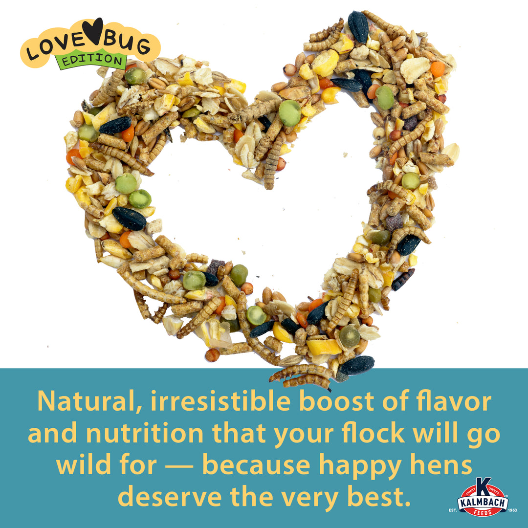 Henhouse Reserve Love Bug™ for Chickens and Poultry