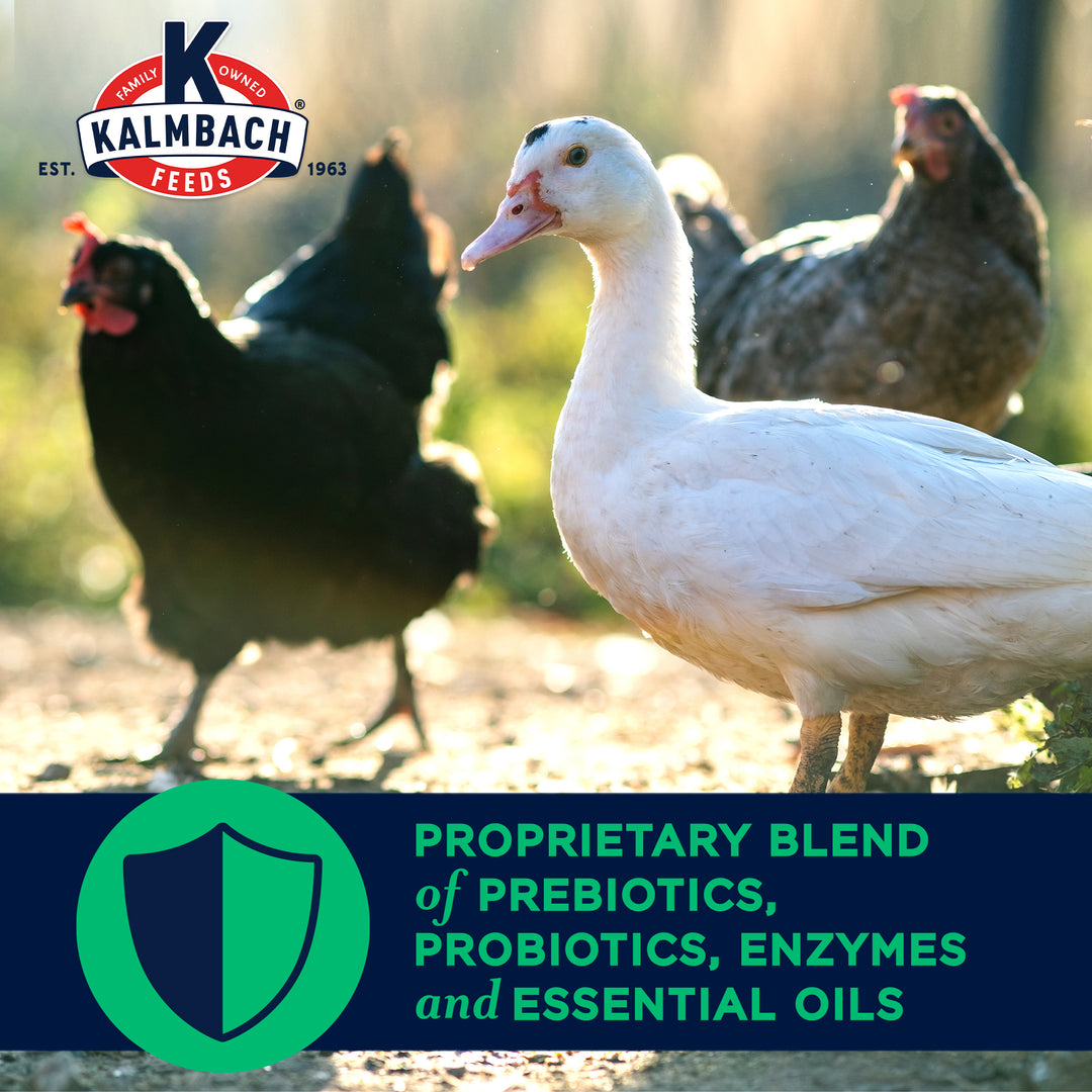 16% Flock Maintainer® (Non-GMO Pellet)