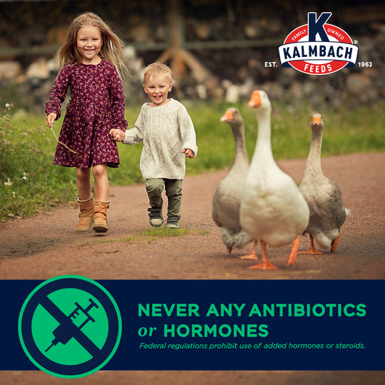16% Flock Maintainer® (Non-GMO Pellet)