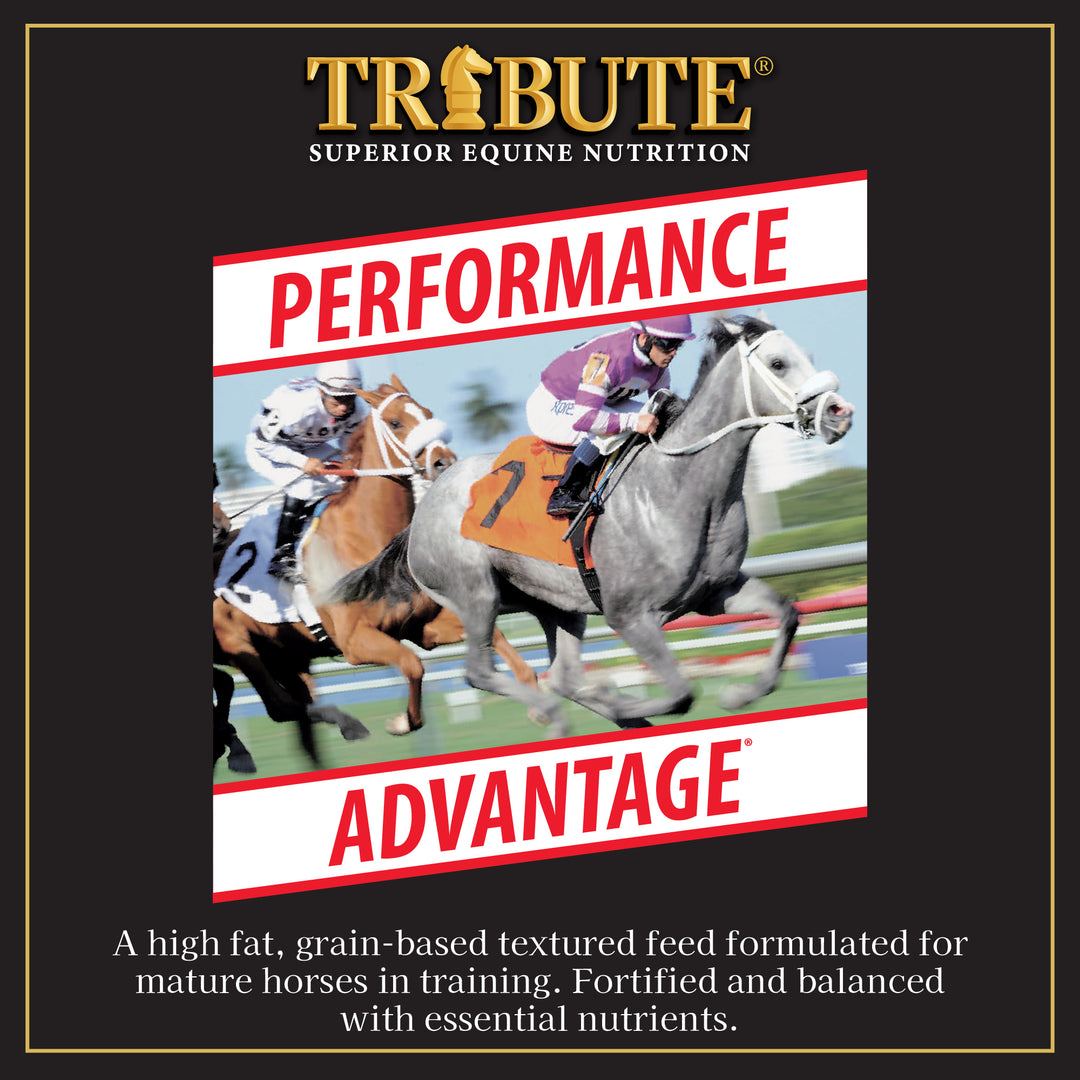 Performance Advantage®