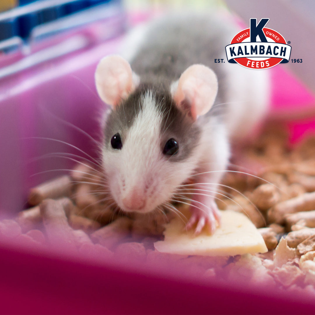 Kalmbach 18% Rodent Diet