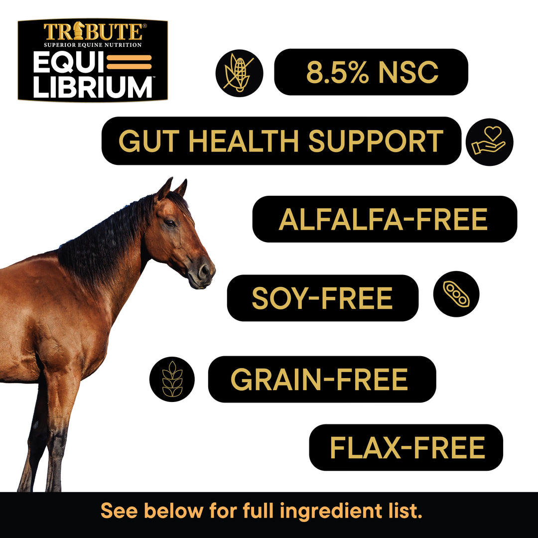 Equi-Librium™ Senior