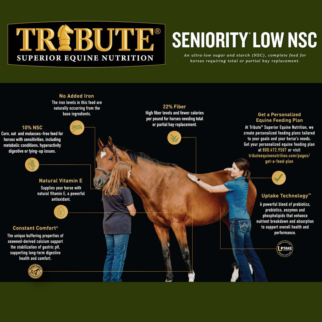 Seniority® Low NSC