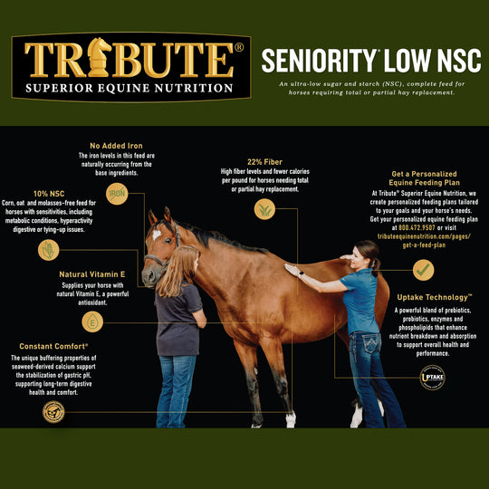 Seniority® Low NSC