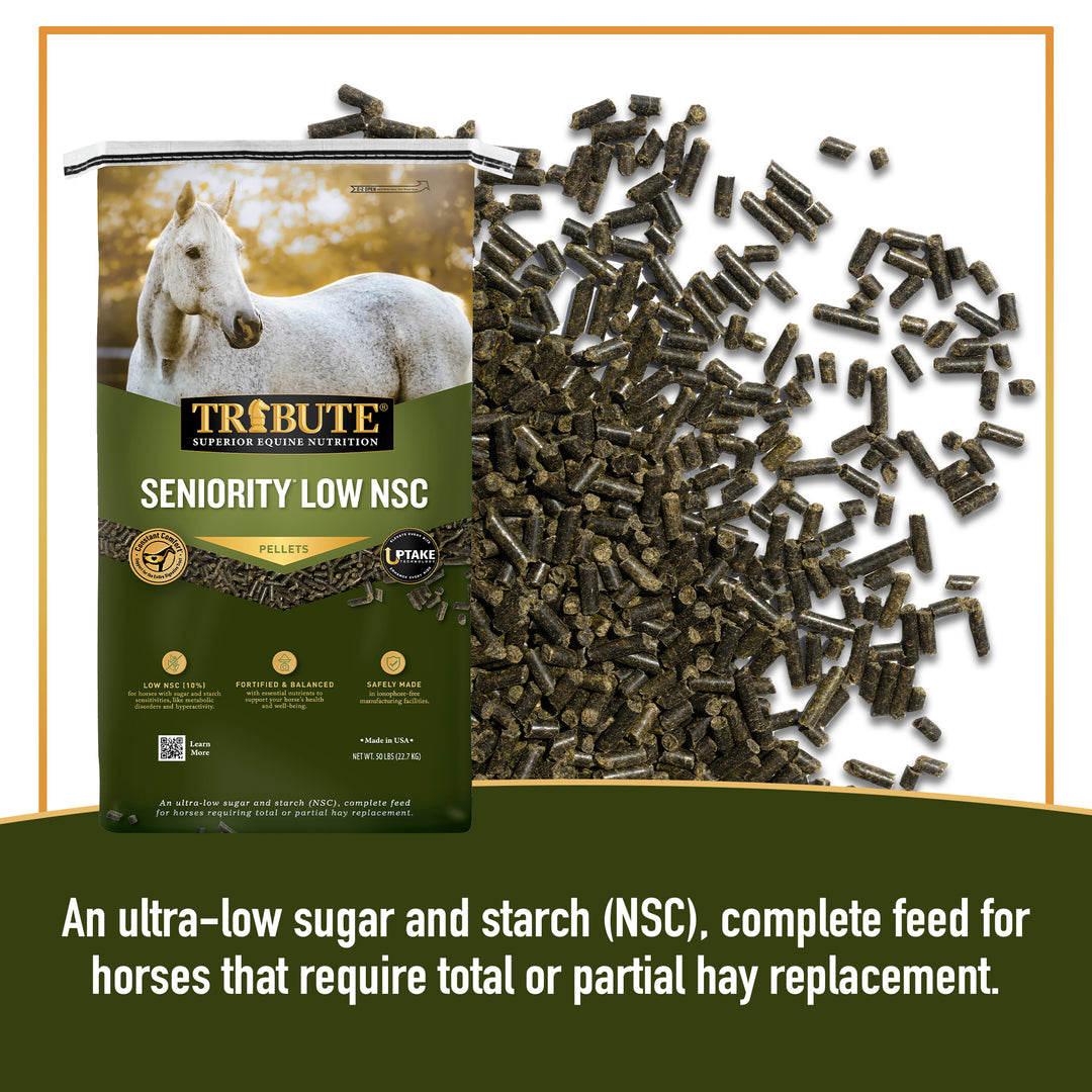 Seniority® Low NSC