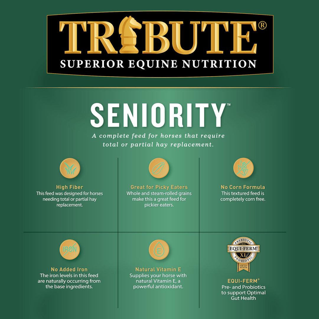 Seniority® Textured